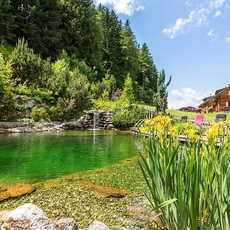 Huettendorf Schladming Dış mekan fotoğraf
