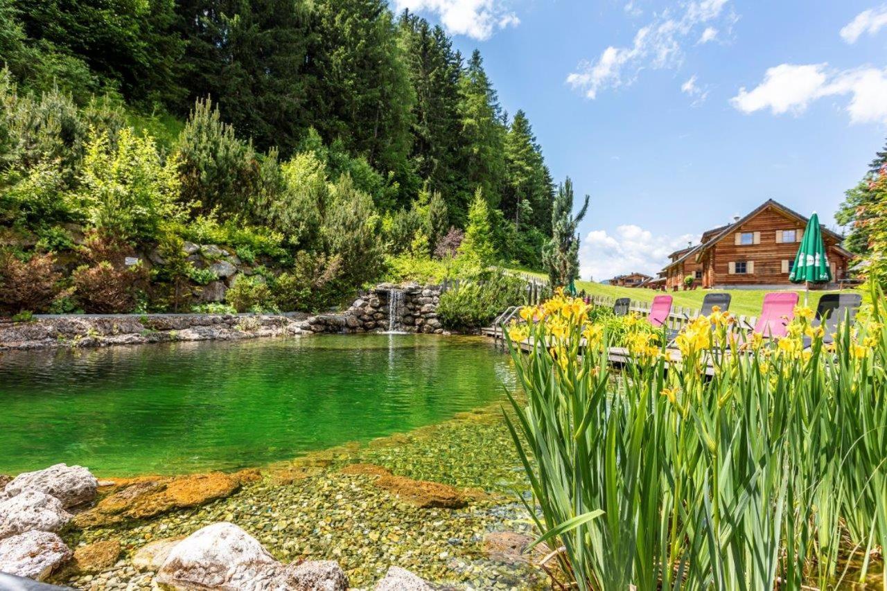 Huettendorf Schladming Dış mekan fotoğraf