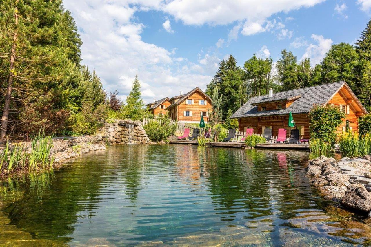 Huettendorf Schladming Dış mekan fotoğraf