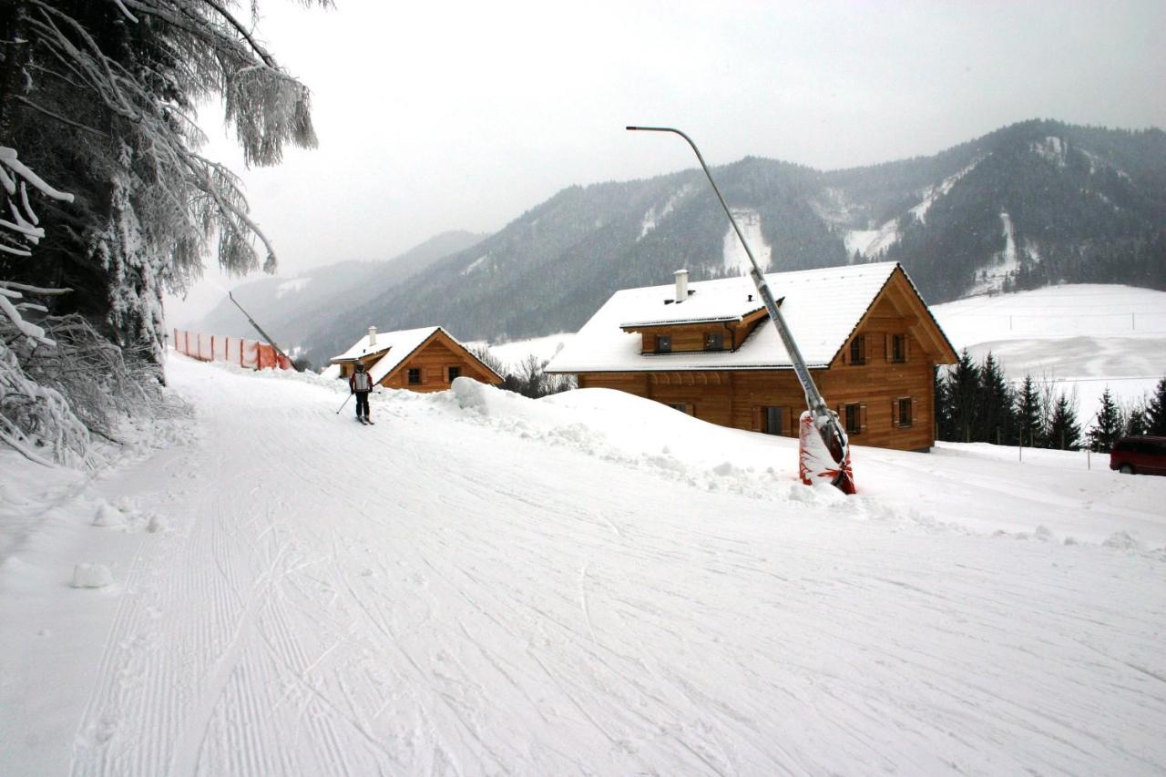 Huettendorf Schladming Dış mekan fotoğraf